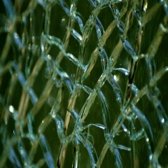 Glass